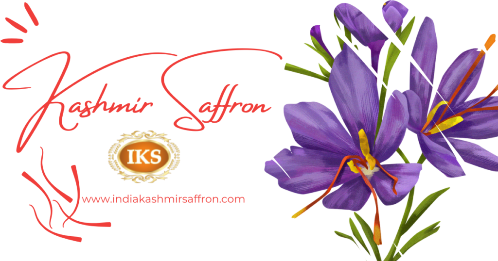 Learn about the authenticity of Kashmir Saffron and how to find pure Kashmiri Saffron online. Discover the best sources to buy original Kashmiri Saffron and enhance your culinary experience. Explore the rich heritage of Kashmir Saffron and its unique qualities. Get expert tips on identifying genuine Kashmiri Saffron to ensure you are getting the highest quality spice for your culinary endeavors