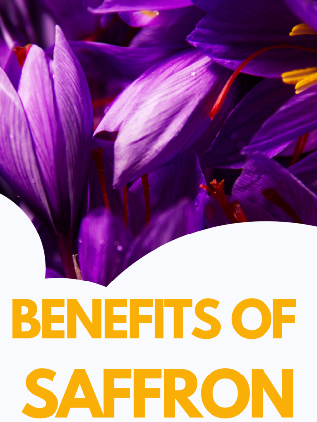 Discover the Multiple Benefits of Kashmiri Saffron (Kashmir Kesar): From Health to Beauty and Beyond!