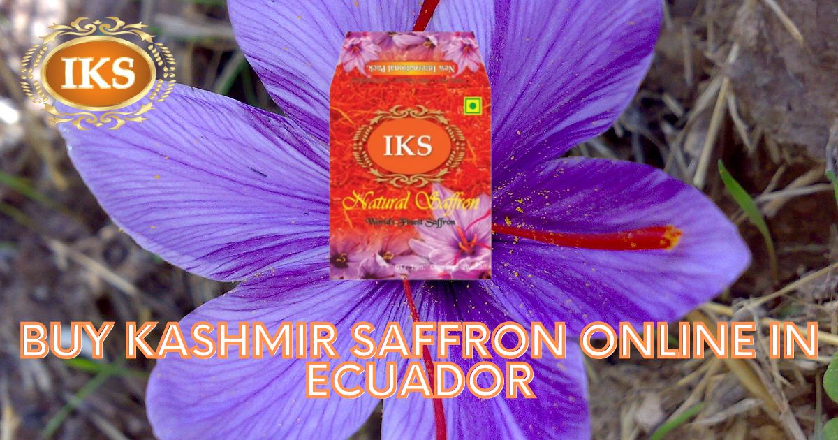 Buy Kashmir Saffron Online in Ecuador | Best Quality Kashmir Kesar in Ecuador | Pure Kumkumpuvvu in Ecuador | Kashmiri Zafran in Ecuador | Saffron Shop in Ecuador | Pure Original Best Quality Authentic Kashmir Saffron in Ecuador Guayaquil Quito Cuenca Santo Domingo Machala Duran Manta Portoviejo Loja Ambato