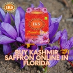 Buy Kashmir Saffron Online in Florida Best Quality Kashmir Kesar in Florida Best Saffron Brand during Pregnancy for Pregnant Women in Florida Pure Kumkumpuvvu in Florida Kashmiri Zafran in Florida Saffron Shop in Florida Pure Original Best Quality Authentic Kashmir Saffron in Florida Jacksonville Miami Tampa St. Petersburg Orlando Hialeah Tallahassee Fort Lauderdale Port St. Lucie Pembroke Pines