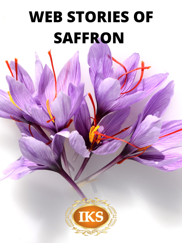 Web Stories of Saffron 