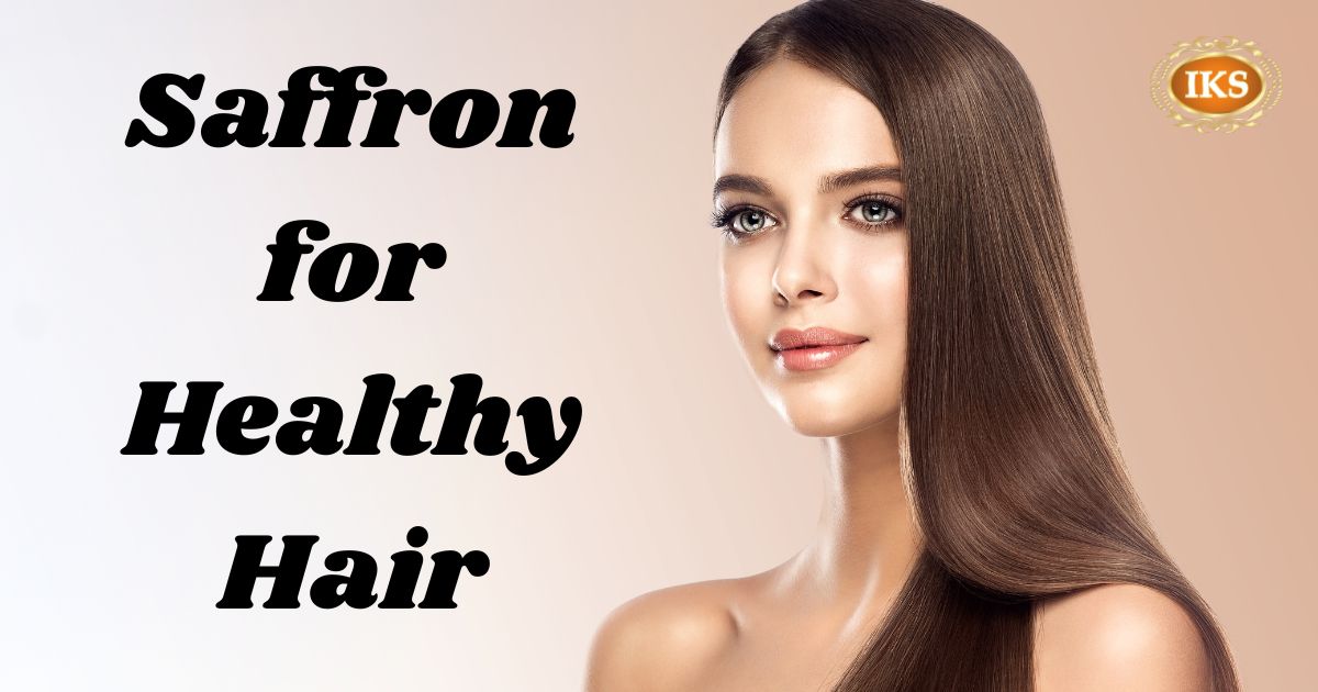 Saffron for Hair, Saffron for Hair Growth, Saffron for Hair Regrowth, Saffron Water for Hair, Saffron Good for Hair, How to use Saffron for Hair, Saffron Benefits for Hair Growth