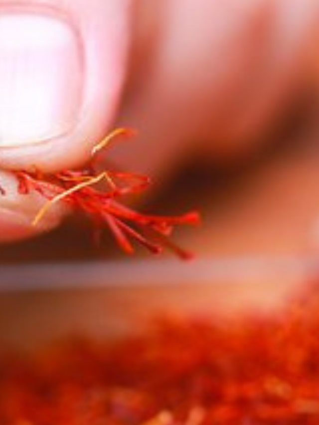 A  Pinch of Saffron Kesar can Improve your Health  Heres How