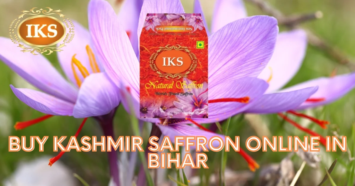 Buy Kashmir Saffron Online in Bihar Best Quality Kashmir Kesar in Bihar Pure Kumkumpuvvu in Bihar Kashmiri Zafran in Bihar Saffron Shop in Bihar Pure Original Best Quality Authentic Kashmir Saffron in Bihar Patna Gaya Bhagalpur Muzaffarpur Purnia Darbhanga Bihar Sharif Arrah Begusarai Katihar Buy Kashmir Saffron Online in Bihar Best Quality Kashmir Kesar in Bihar Pure Kumkumpuvvu in Bihar Kashmiri Zafran in Bihar Saffron Shop in Bihar Pure Original Best Quality Authentic Kashmir Saffron in Bihar Patna Gaya Bhagalpur Muzaffarpur Purnia Darbhanga Bihar Sharif Arrah Begusarai Katihar