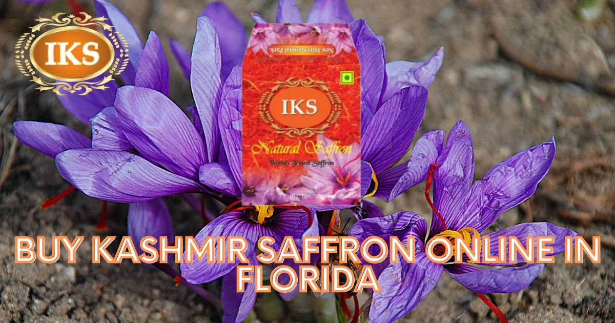 Buy Kashmir Saffron Online in Florida Best Quality Kashmir Kesar in Florida Best Saffron Brand during Pregnancy for Pregnant Women in Florida Pure Kumkumpuvvu in Florida Kashmiri Zafran in Florida Saffron Shop in Florida Pure Original Best Quality Authentic Kashmir Saffron in Florida Jacksonville Miami Tampa St. Petersburg Orlando Hialeah Tallahassee Fort Lauderdale Port St. Lucie Pembroke Pines Buy Kashmir Saffron Online in Florida Best Quality Kashmir Kesar in Florida Best Saffron Brand during Pregnancy for Pregnant Women in Florida Pure Kumkumpuvvu in Florida Kashmiri Zafran in Florida Saffron Shop in Florida Pure Original Best Quality Authentic Kashmir Saffron in Florida Jacksonville Miami Tampa St. Petersburg Orlando Hialeah Tallahassee Fort Lauderdale Port St. Lucie Pembroke Pines