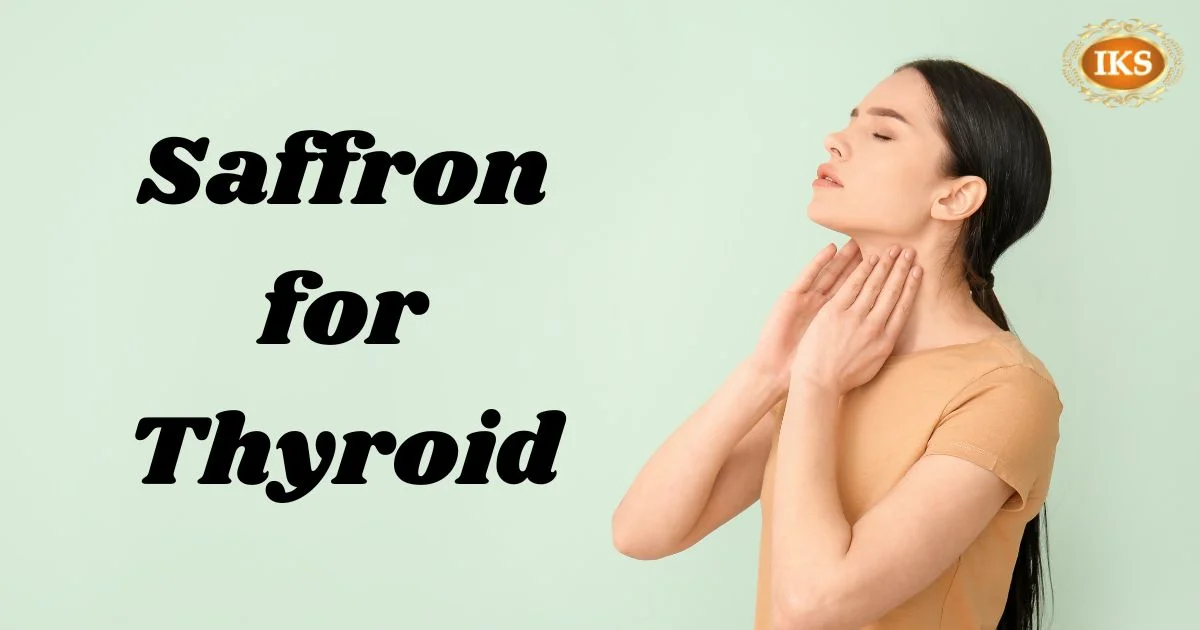Saffron for Thyroid, Saffron for Thyroid Glands, Is saffron good for hyperthyroidism, saffron benefits for thyroid, saffron for underactive thyroid Saffron for Thyroid, Saffron for Thyroid Glands, Is saffron good for hyperthyroidism, saffron benefits for thyroid, saffron for underactive thyroid