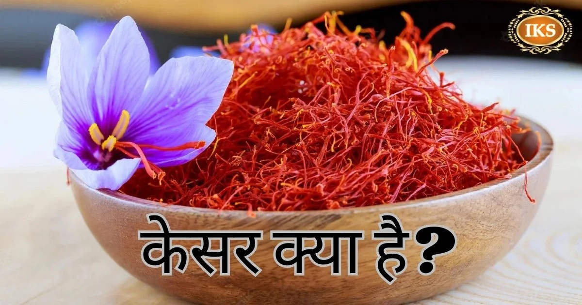 केसर क्या है? केसर क्या है?