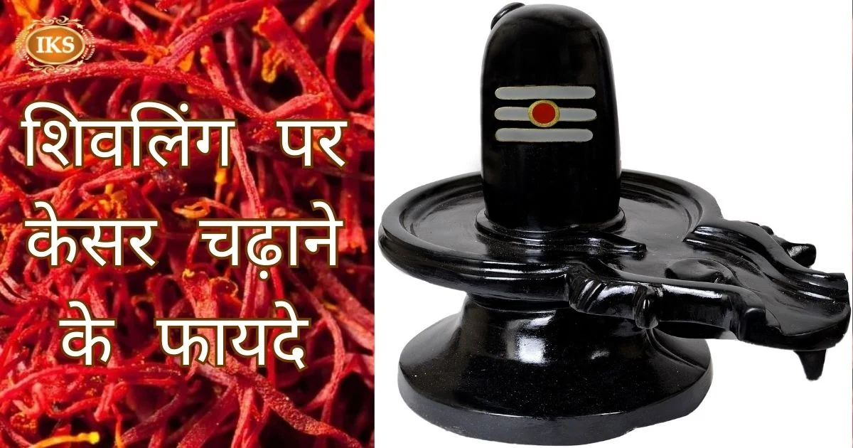 सोमवार के दिन शिवलिंग पर केसर चढ़ाने के फायदे, हर मनोकामना पूरी करने के लिए केसर का उपयोग सोमवार के दिन शिवलिंग पर केसर चढ़ाने के फायदे, हर मनोकामना पूरी करने के लिए केसर का उपयोग